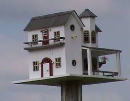 How To Build A Bird House The Right Way