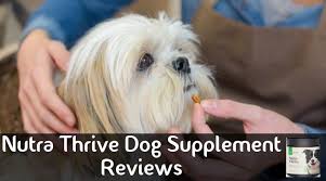 Image result for nutra thrive review