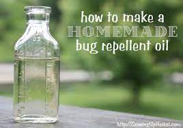 how to make homemade bug repellent oil