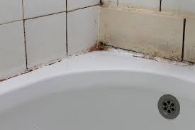 Prevent Mold In Your Bathroom