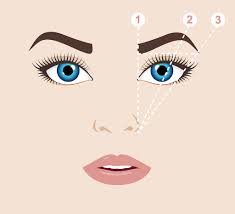 select the best eyebrow shape for you