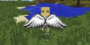 If your aim is only to fly, why is it so much to ask to simply grow wings and fly away? Cosmetic Wings Mod For Minecraft 1 16 3 1 10 2 1 9 4 1 7 10 Azminecraft Info