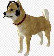 The resolution of this transparent background is 1151x2048. Doge Png Picture Freeuse Silent Hill Dog Png Image With Transparent Background Toppng