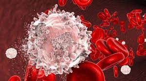 உலக ரத்த புற்றுநோய் நாள்: முறையான சிகிச்சை ரத்த புற்றுநோயிலிருந்து நம்மைக் காக்கும் | World Blood Cancer Day: Proper treatment can protect us from Blood Cancer - hindutamil.in