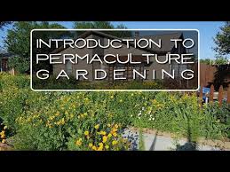 introduction to permaculture gardening