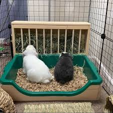 Pet Bunny Rabbits Bunny Beds Bunny Cages