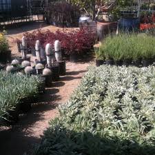 Best Garden Centers In Los Angeles