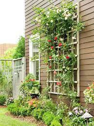 Arbors And Trellises In The Landscape