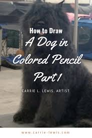 Amazing portrait drawing of a cow. How To Draw A Dog In Colored Pencil Part 1 Carrie L Lewis Artist