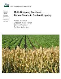 PDF) Multi-Cropping Practices: Recent Trends in Double Cropping