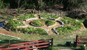 Learn Why A Keyhole Garden Is Such A