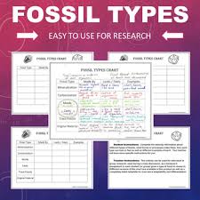 Fossil Types Chart