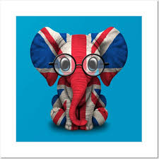 Baby Elephant With Glasses And British