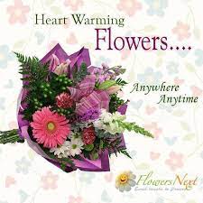 Order flowers online from interflora. Pin On Send Flowers To Oman Online
