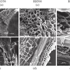 Biochar is made from heating organic or agricultural 'waste', such as rice husks or straw, without the presence of oxygen. Sem Images Of Rice Husk Biochar Produced At Different Pyrolysis Download Scientific Diagram