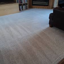 area rug cleaning near monticello mn