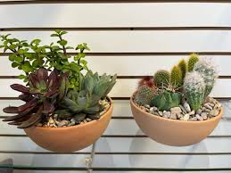 Cacti Succulent Dish Garden In