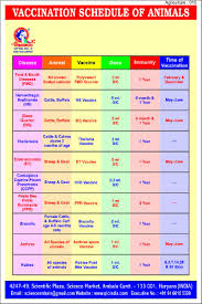 Vaccination Chart India Bedowntowndaytona Com
