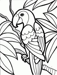It's wonderful that, through the process of drawing and coloring, the learning about things around us does not only become joyful. Cool Coloring Pages For Kids News At Coloring Pages Idestorm Naturstyrelsen Dk