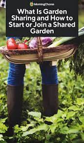 What Is Garden Sharing And How To Start