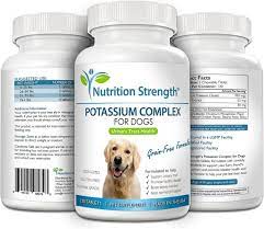 potium for dogs why your pet needs