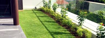 Roof Garden Services In Singapore