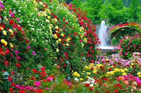 Beautiful Garden Fountain Bonito