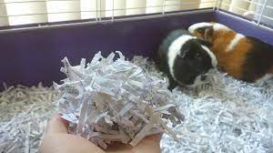 what can i use for guinea pig bedding