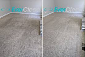 carpet cleaning bellevue tn everclean