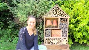 insectes building insect hotel