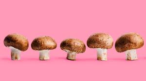 portobello mushroom nutrition benefits