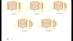 5 Stages Of Breast Development Beginner Bras My Adira