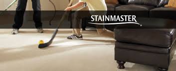 stainmaster active family carpet review