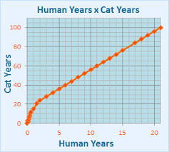 Generally, a cat has an average life expectancy of between 15 and 20 years old. My Cat Is 1 Years Old How Old Is He She In Cat Years Cat Age Calculator