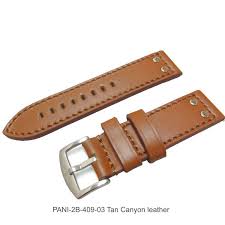 pani 2b 409 03 tan canyon leather watch