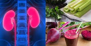 renal t foods list and eating plan