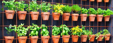 Download 3,541 herb garden free vectors. 35 Vertical Herb Garden Ideas