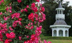 Parc de Bagatelle – Namasaya