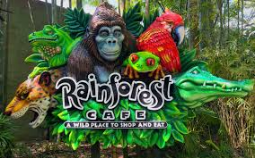 rainforest cafe overview disney s