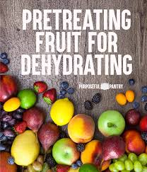how to pretreat fruit for dehydrating
