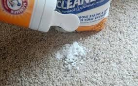 one of the best carpet cleaning powder