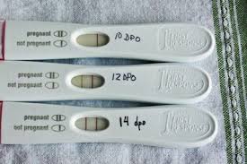 The Most Sensitive Pregnancy Test To Be Pregnant