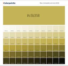 Pms Color Chart Vegas Gold Best Picture Of Chart Anyimage Org