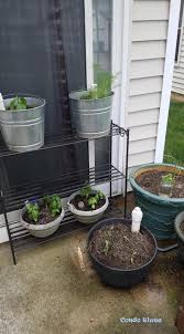 Easy Self Watering Patio Herb Garden