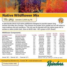 wisconsin native wildflower mix 1 lbs