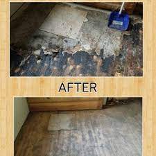 remove black mastic from hardwood floor