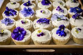 edible flowers for dressing up cakes