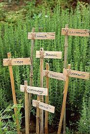 Plant Marker Ideas For Your Garden