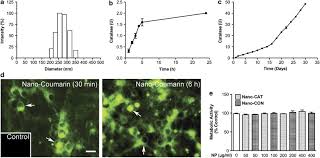 Nanoparticle Mediated Catalase Delivery