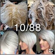 Then, consult a hairstylist to figure out which shade suits your skin tone the best. Pin On Professional Hair Education